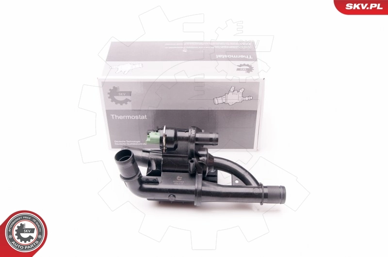 Thermostat, coolant